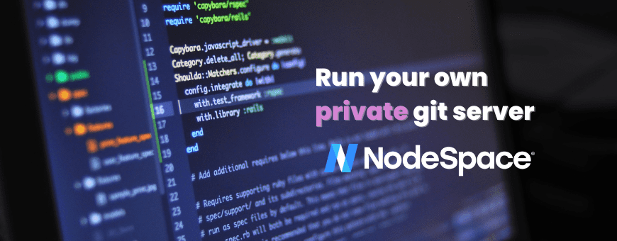 How to setup your own private git server