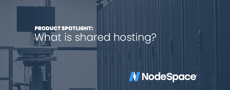 What is shared hosting?